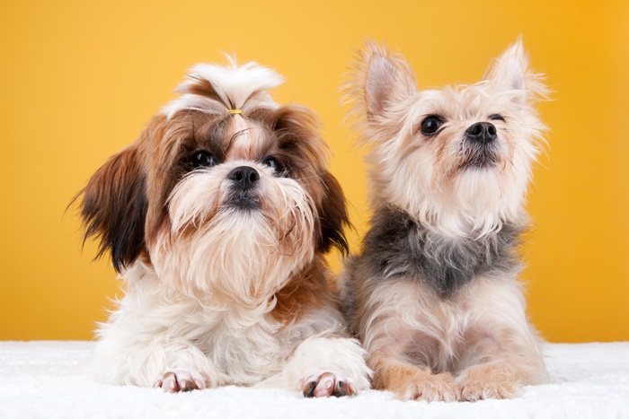 �ݷ����������� �������� �ı� 