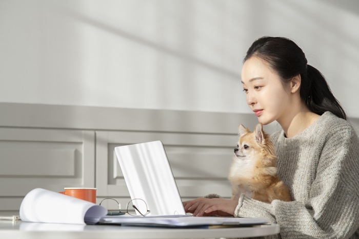 �ݷ����������� �����ؾ� �ϴ� ����