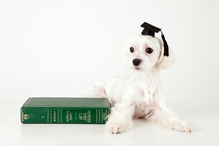 �ݷ����������� �н�����