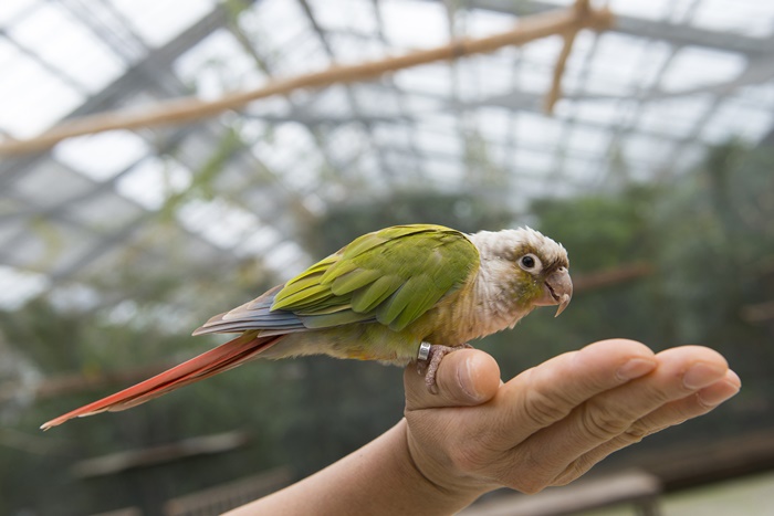 �ݷ���������1�� �¶��α���