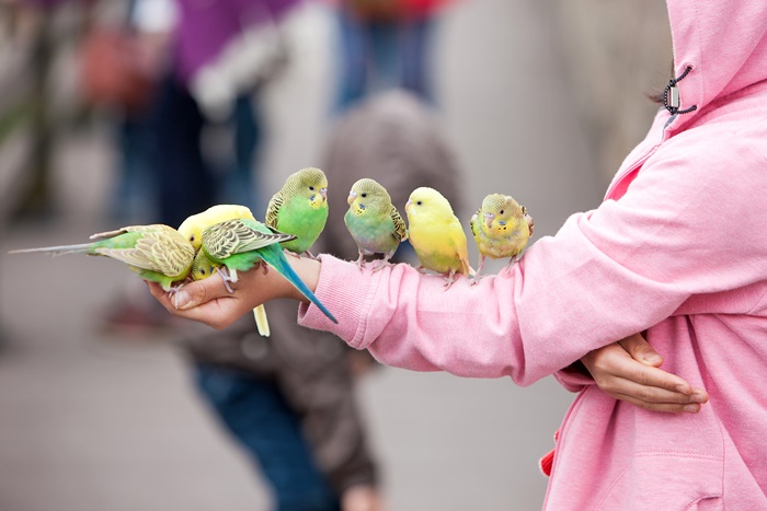 �ݷ���������1�� �ڰ��� �߱�