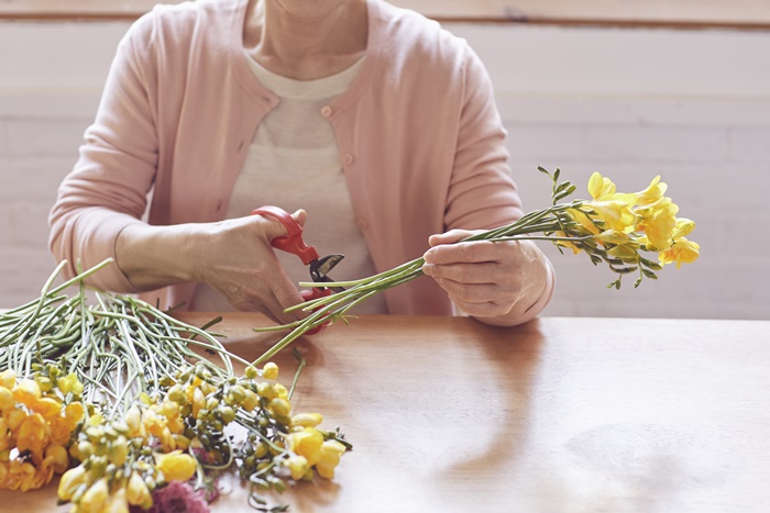 ���ο���Ȱ�������� ���ᱳ��