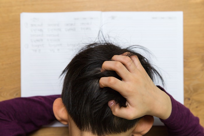 �Ƶ��ɸ�����1�� 100% ���ᱳ��