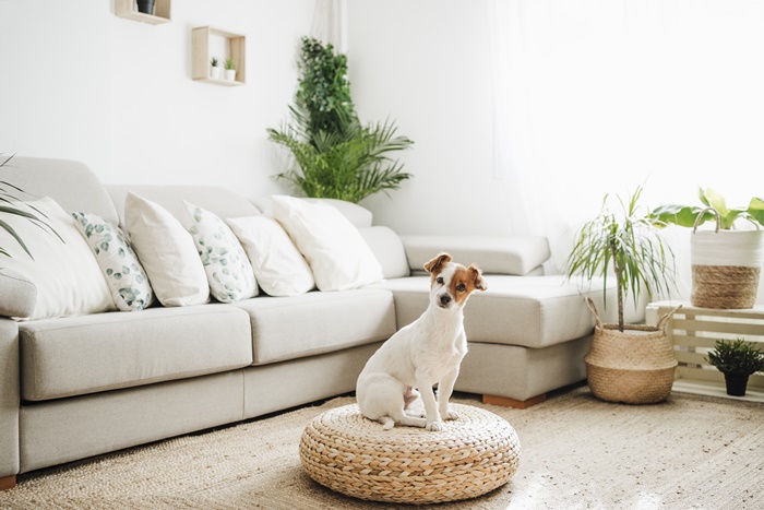 ��������������1�� �����ı�