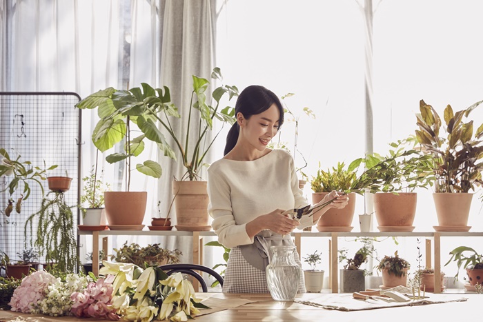 �÷θ���Ʈ ���ᱳ��