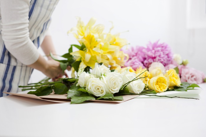 �÷θ���Ʈ �ڰ��� ���