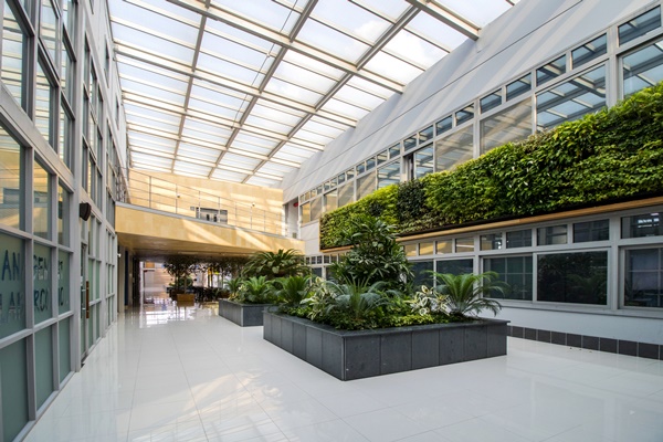 �ǳ����������� 2