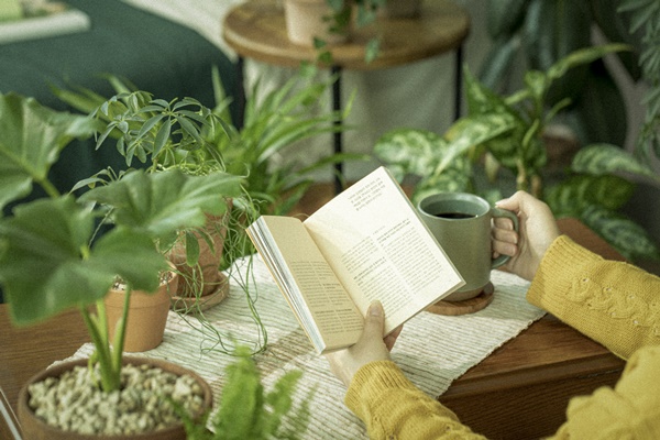 �ǳ����������� 3