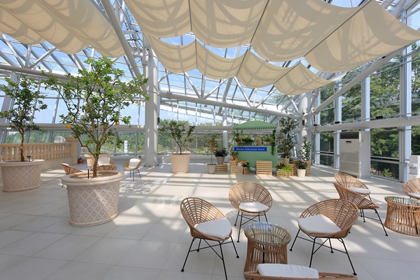 �ǳ����������� 5