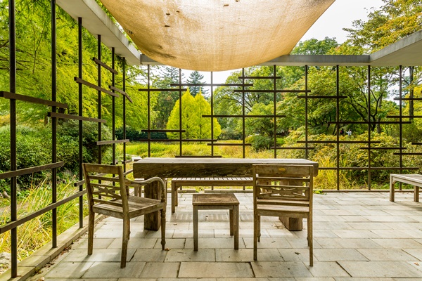 �ǳ����������� 123